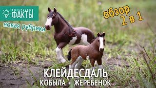 Клейдесдаль кобыла и жеребенок - распаковка и обзор (оригинал Schleich)