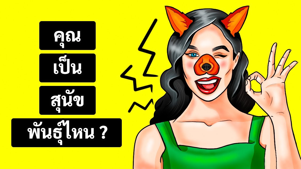 แบบทดสอบบุคลิกภาพ | คุณเป็นสุนัขพันธุ์ไหน ?