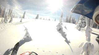 Polaris Pro RMK 800