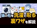 衣服についた猫の毛は通常の洗濯では取りにくい!猫の毛を洗濯で取る裏ワザを解説