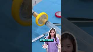 PRP vs DERMOMINE. Which is Better for Hair Regrowth? | Dr. Renee RJ Clinic