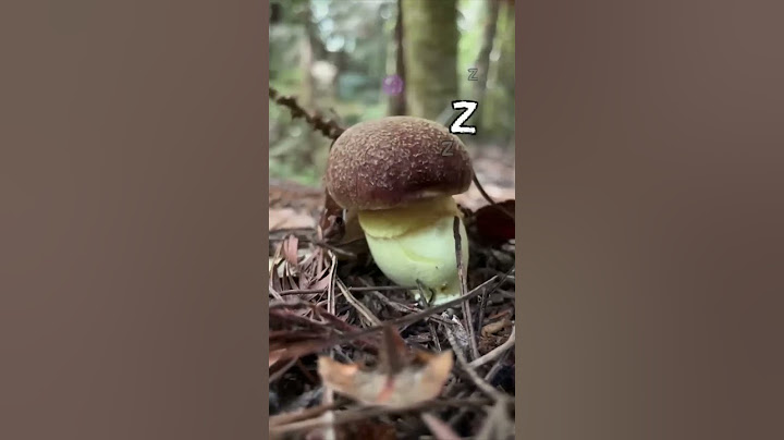 Mushroom Tapping (PVZ Animation) #shorts #animation