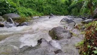 Beautiful River Like in Heaven for Beat Anxiety, Calm The Mind, Sleep Soundly, White Noise, Asmr