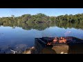 Fábrica de Nelore - Mato Grosso