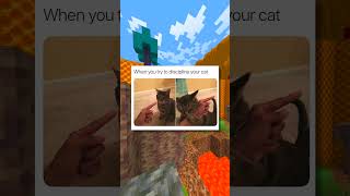 Wholesome Cat Memes! 🥸💞 #shorts