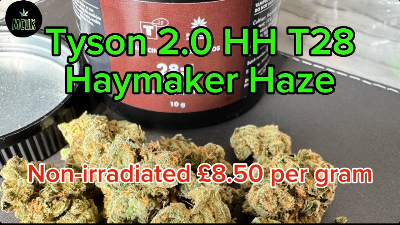 TYSON 2.0 HH T28 Haymaker Haze review