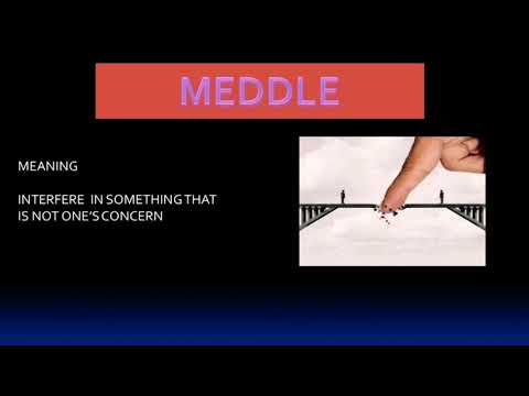 Meddle meaning with