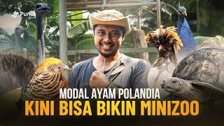 Cara Ternak Ayam Polandia Hingga Hewan Eksotis Lainnya Untuk Wisata Edukasi dan Hobi