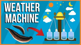 The Machine that Used Leeches to Predict the Weather