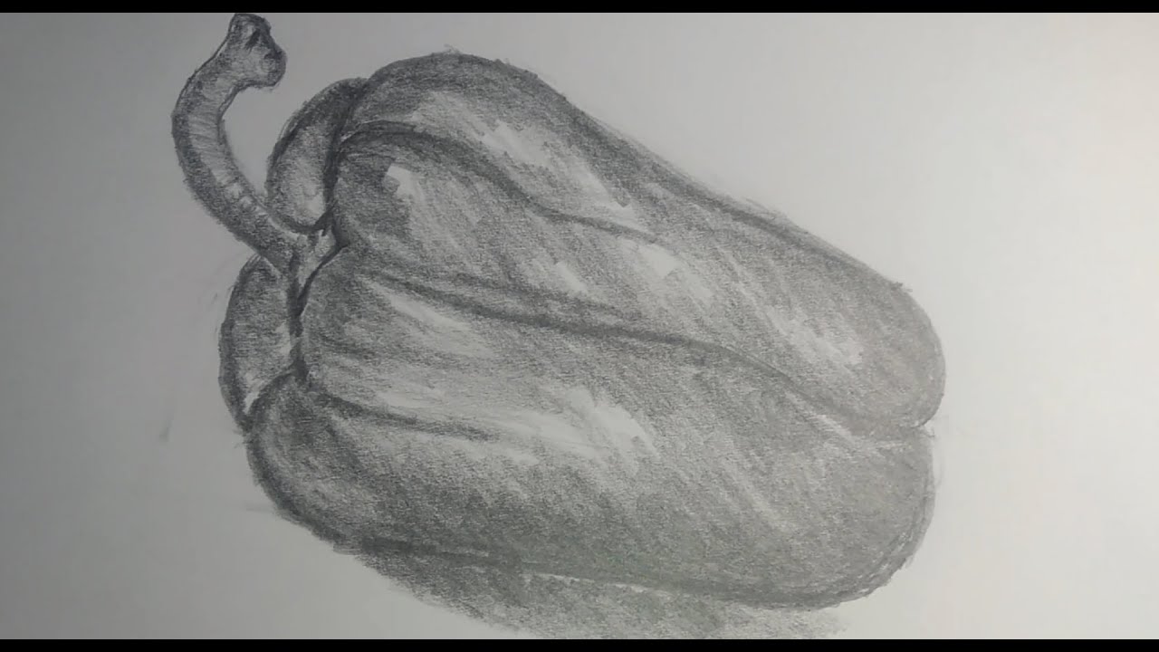 Bell Pepper drawing