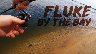 Lots of Fluke Action by the Bay!