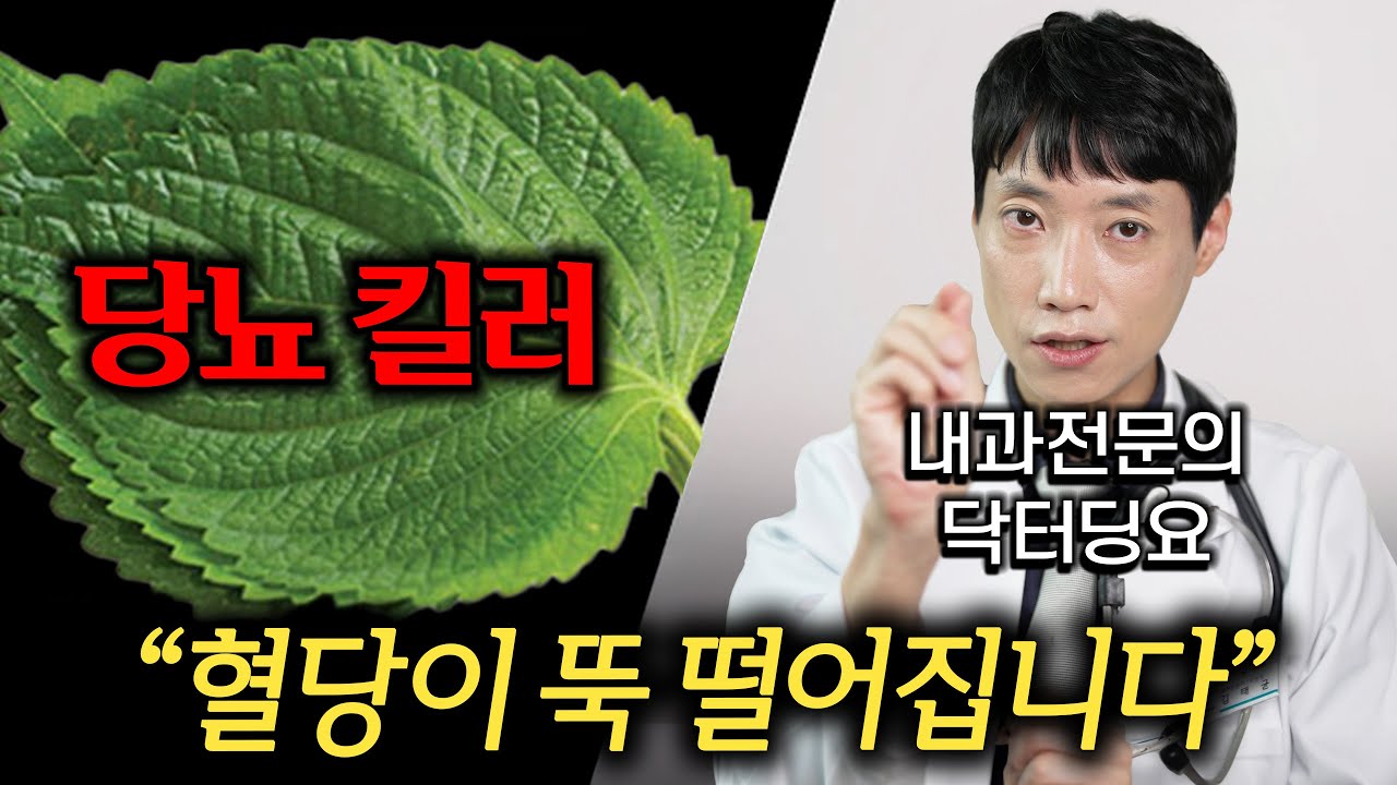 당뇨에 좋은 최고의 채소, 췌장 보호되는 최고의 항산화 채소 l 당뇨 환자 채소 TOP 3! l 채소 종류별 당뇨 예방 메타분석 l 닥터딩요