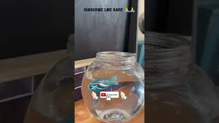 Robo Fishrobo Fish Unboxing & Review Zuru Robot Fish