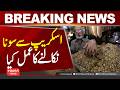 Gold Extraction from Scrap: Fact or Fiction? The Truth Revealed| Hum News | Pakistan