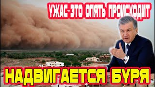 Буря в Ташкенте шок! Новости Узбекистана Сегодня!
