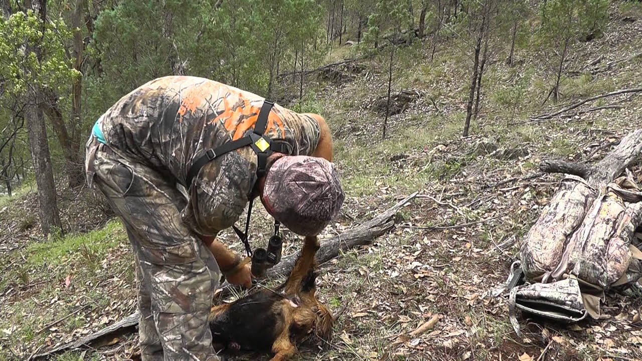 Why do you go Bowhunting