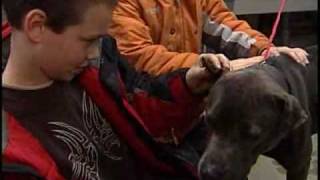 Dog Found In Kenosha Dumpster Gets New Home