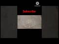 Easy rangoli/9-5 dots rangoli/Simple rangoli/Beautiful rangoli/Muggulu/Rangoli/Kolam/Small Rangoli