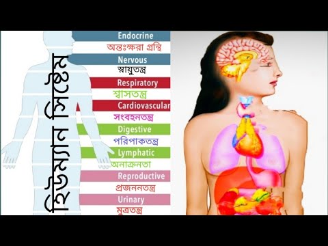 মানব কঙ্কালতন্ত্র। human body system.মানবতন্ত্র।মানবদেহের সিষ্টেম। মানব শরীর।