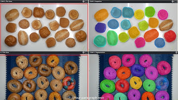 Baked Goods Inspection and Robotic Picking Montage