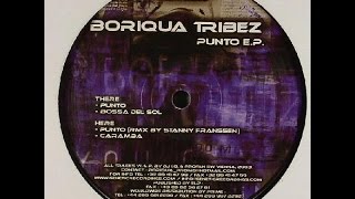 Boriqua Tribez - Punto ( Stanny Franssen Remix )
