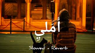 My Hope-Allah (أَمَليِ) Slowed+Reverb|Muhammad Al Muqit #arabicnasheed #slowedandreverb