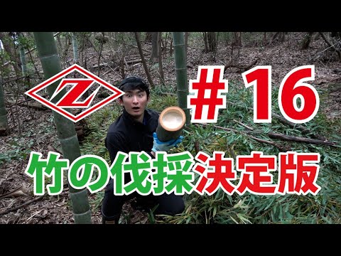 竹の伐採、承ります。 竹林整備】プロが竹を切るスピード感【チェンソー】【伐採】 - YouTube