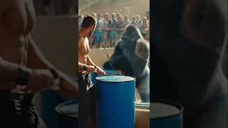 Gorilla vs Man Drum Battle... The Winner Is SHOCKING! 😱