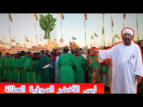 Ø§Ù„Ø´ÙŠØ® Ù…Ø­Ù…Ø¯ Ø·ÙÙ‰ Ø¹Ø¨Ø¯ Ø§Ù„Ù‚Ø§Ø¯Ø± Mp3