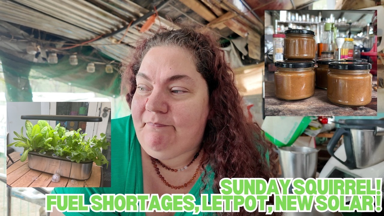 Sunday Squirrels - Fuel Shortages, Let Pot Update and Apple Butter! - Off Grid Australia