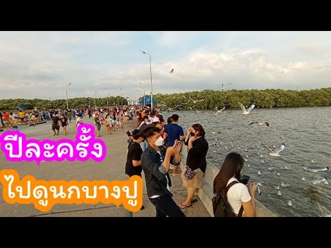 บรรยากาศ ไปดูนกนางนวลสถานตากอากาศบางปู ล่าสุด. | เนื้อหาทั้งหมดที่เกี่ยวข้องกับร้าน อาหาร สถาน ตากอากาศ บางปูเพิ่งได้รับการอัปเดต