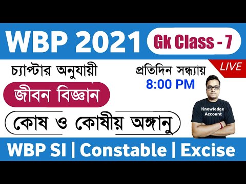 ভিডিও: কোন কোষে প্রজেকশন গঠন করে যাকে পেডিসেল বলা হয়?