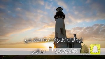 إنك ميت و إنهم ميتون .. تلاوة مميزة من صلاة العشاء القارئ الحارث الصالح وفقه الله -١٤٤٢هـ