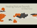 自然系專注療癒輕音樂 - 在雨聲、溪流水聲中放鬆、專注工作閱讀用 🌧 大自然音樂與鋼琴、深度專注 / Healing Nature Sounds for Deep Focus