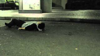 NARITASB20101126