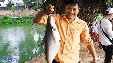 Câu Cá Tra Long Hồ Tân Uyên Cần Thủ Mang Xe Hơi Tới Chở Cá Go Fishing