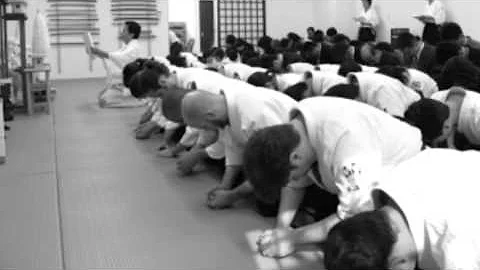 Tenshin Aikido Cody Lewallen