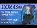 House Reef Guide | The Three Corners Fayrouz Plaza | Egypt - Marsa Alam | Summer 2019 | Snorkeling