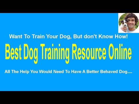 stop-dog-barking---how-to-stop-your-dog-barking-in-the-garden-or-else-where