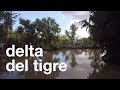 Delta del Tigre | Drone, canoas y naturaleza