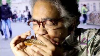 Hotel California - Shombit harmonica