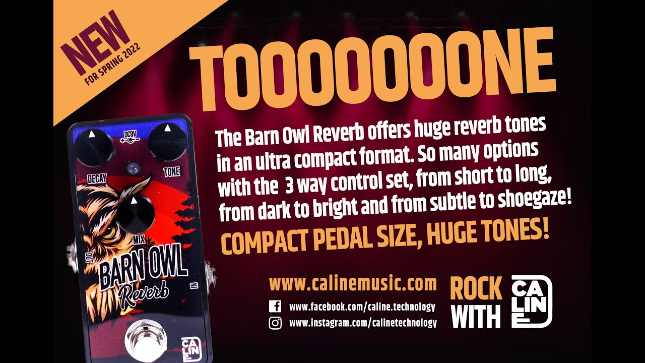 Caline G Series G008 Barn Owl Reverb Pedal Demo--amazing options, with just  3 simple controls