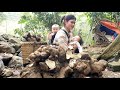 Looking back at the days when the single girl harvested Fruit to sell to support her two children