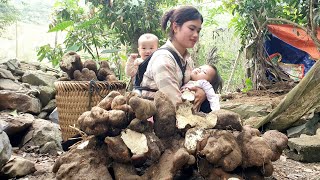 Looking back at the days when the single girl harvested Fruit to sell to support her two children