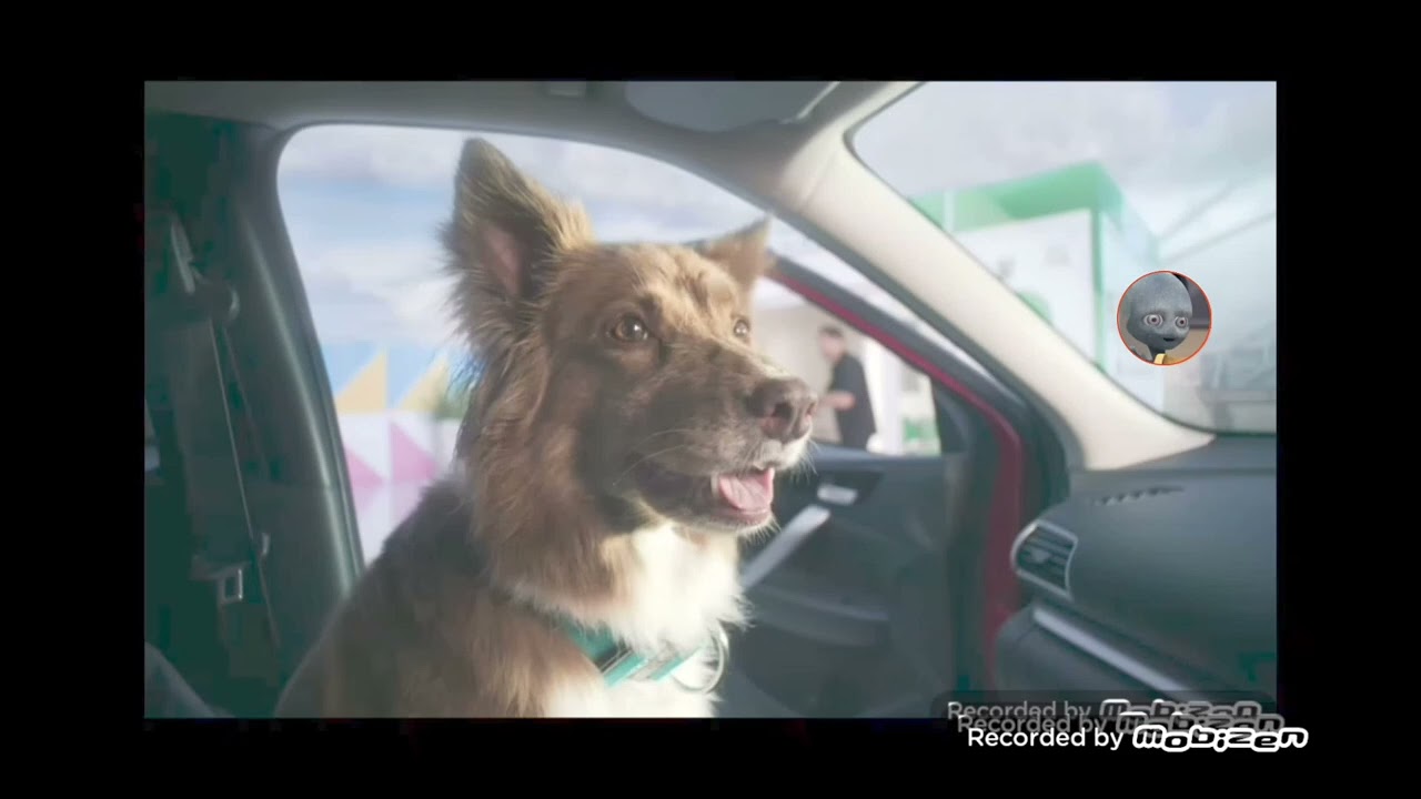 make me a winner with Tim allen