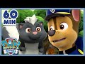 パウ・パトロール | 動物アドベンチャー1時間！| パウ・パトロール公式