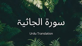 Surah Al-Jathiyah | سورۃ الجاثية | Urdu Translation | Ahmed khedr