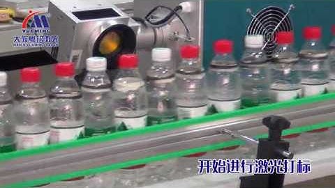 MC30-B-A: CO2 Laser Marking Machine with an Assembly Line Han