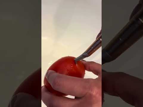 The Gentleness of the PT-B Woodpecker Air Polisher & Ultrasonic Scaler