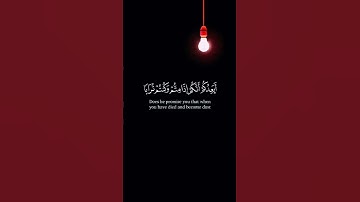 سوره المؤمنون آيه ﴿34 الى 37﴾